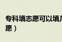 专科填志愿可以填几个学校（怎样填报大专志愿）