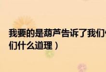 我要的是葫芦告诉了我们什么道理（我要的是葫芦告诉了我们什么道理）