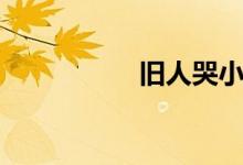 旧人哭小说（旧人哭）