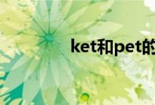 ket和pet的区别（哪个难）