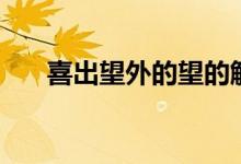 喜出望外的望的解释（喜出望外的望）