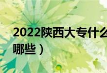 2022陕西大专什么时候填志愿（填报技巧有哪些）