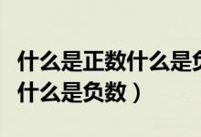 什么是正数什么是负数表示什么（什么是正数什么是负数）