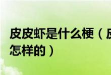 皮皮虾是什么梗(皮皮虾我们走的发展经过是怎样的)