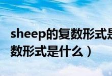 sheep的复数形式是什么怎么写（sheep的复数形式是什么）