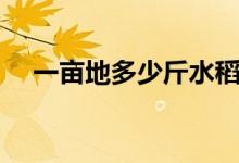 一亩地多少斤水稻（一亩地多少平方米）