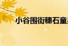 小谷围街穗石童星幼儿园的地址在哪