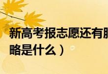 新高考报志愿还有服从调剂吗（新高考报考策略是什么）