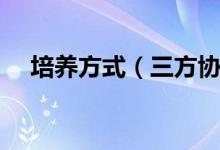培养方式（三方协议培养方式怎么填写）