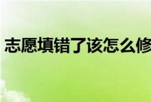 志愿填错了该怎么修改（填错志愿了怎么办）