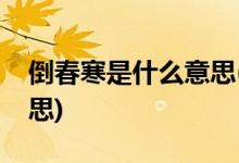倒春寒是什么意思(绵绵细雨倒春寒是什么意思)