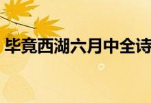 毕竟西湖六月中全诗解释（毕竟西湖六月中）