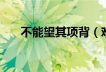 不能望其项背（难以望其项背对不对）
