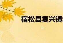 宿松县复兴镇幼儿园的地址在哪