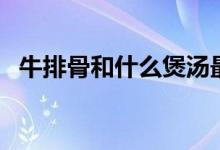 牛排骨和什么煲汤最好（牛排骨汤的做法）
