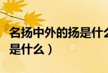 名扬中外的扬是什么意思（名扬中外的扬意思是什么）