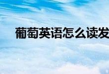 葡萄英语怎么读发音（葡萄英语怎么读）
