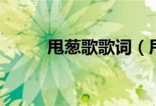 甩葱歌歌词（甩葱歌歌词是什么）