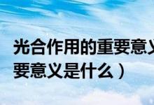 光合作用的重要意义有哪两条（光合作用的重要意义是什么）