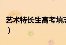 艺术特长生高考填志愿常见问题（怎样填志愿）