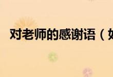 对老师的感谢语（如何表达对老师的感激）