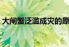 大闸蟹泛滥成灾的原因（物种入侵是其根源）