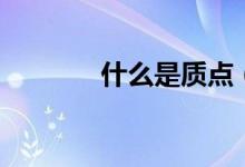 什么是质点（质点系是什么）