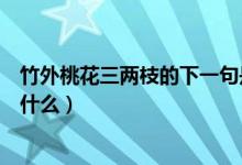 竹外桃花三两枝的下一句是啥(竹外桃花三两枝的下一句是什么)