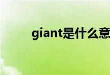 giant是什么意思(giant是贬义么)