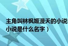 主角叫林枫姬漫夭的小说叫什么名字（主角叫林枫姬漫夭的小说是什么名字）