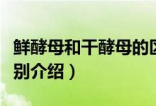 鲜酵母和干酵母的区别（鲜酵母和干酵母的区别介绍）