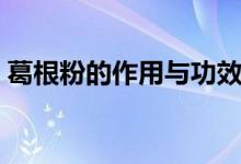 葛根粉的作用与功效禁忌（这里有简单介绍）