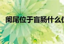 阑尾位于盲肠什么位置（阑尾在什么地方）
