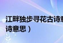 江畔独步寻花古诗意思解释（江畔独步寻花古诗意思）