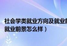 社会学类就业方向及就业前景（2022社会学专业就业方向及就业前景怎么样）