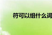 符可以组什么词（符的含义是什么）