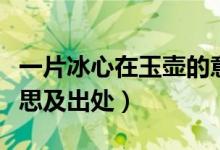 一片冰心在玉壶的意思（一片冰心在玉壶的意思及出处）