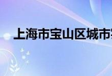 上海市宝山区城市实验幼儿园的地址在哪