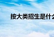 按大类招生是什么意思（有哪些优势）