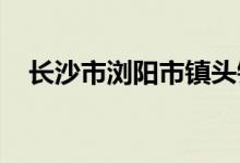 长沙市浏阳市镇头镇柏树完小的地址在哪