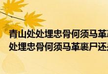 青山处处埋忠骨何须马革裹尸还是谁写的己亥杂诗（青山处处埋忠骨何须马革裹尸还是谁写的）
