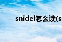 snidel怎么读(snidel公司旗下品牌)