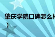 肇庆学院口碑怎么样好就业吗（全国排名第几）