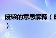 废柴的意思解释（废柴是什么意思代表了什么）