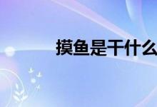 摸鱼是干什么（摸鱼是什么梗）