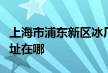 上海市浦东新区冰厂田幼儿园（碧云部）的地址在哪