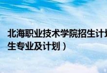北海职业技术学院招生计划（2022北海职业学院高职对口招生专业及计划）