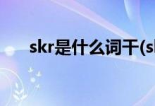 skr是什么词干(skr是什么意思想中文)