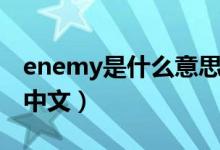 enemy是什么意思翻译（enemy是什么意思中文）