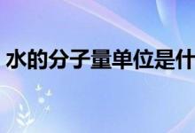 水的分子量单位是什么（水的分子量是多少）